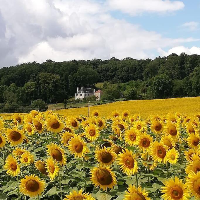 Chambre au calme à la campagne avec piscine idéale étape ou déplacement pro Vaux-sur-Vienne Esterno foto